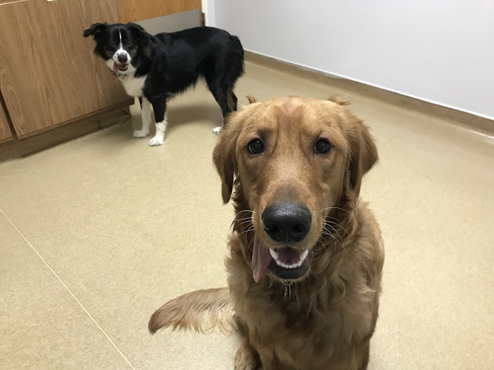 VCA Southeast Area Animal Hospital