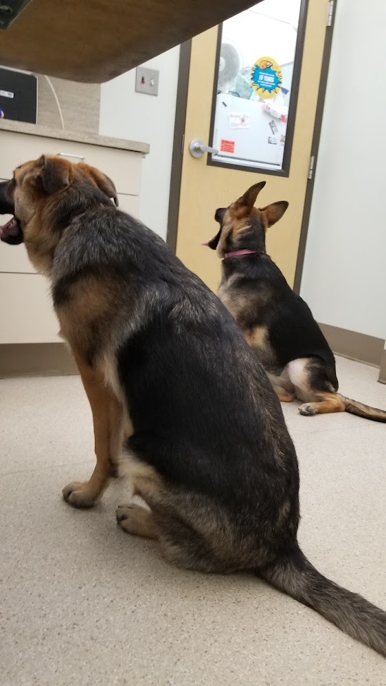 VCA Aspenwood Animal Hospital