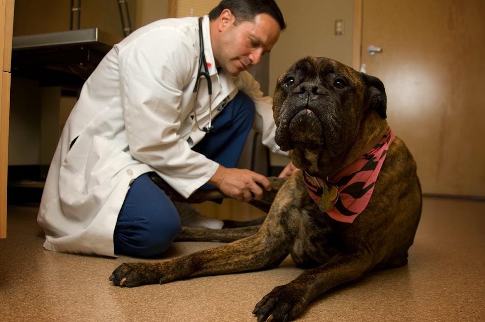 Overland Animal Hospital