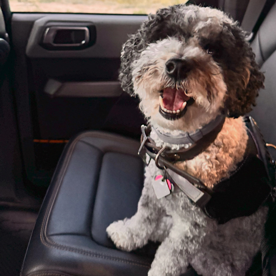 Integrative Pet Care, LLC