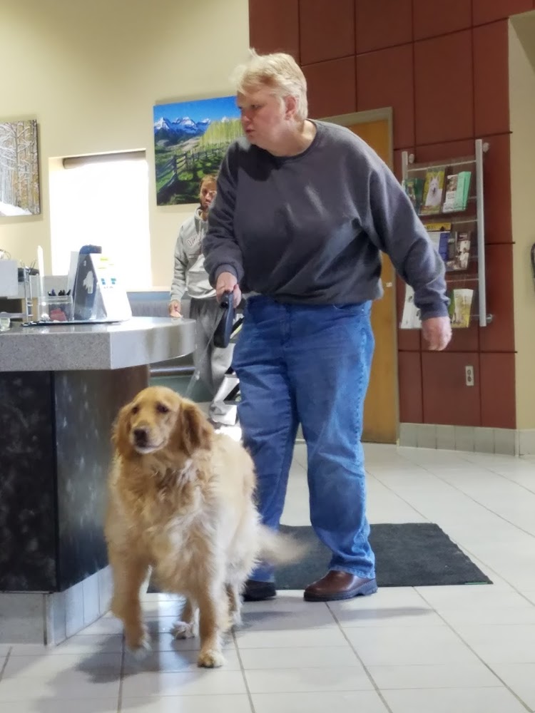 VRCC Veterinary Specialty and Emergency Hospital