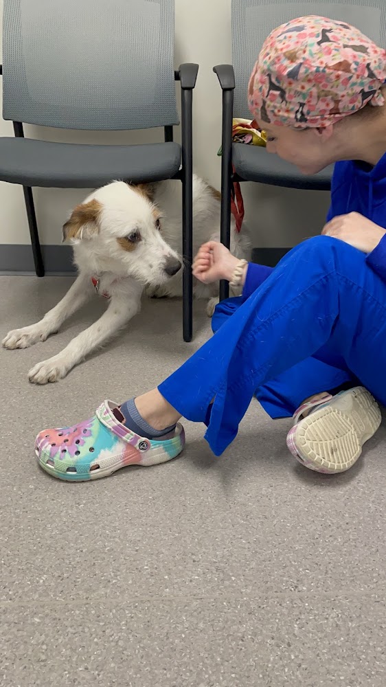 Goodheart Animal Health Center