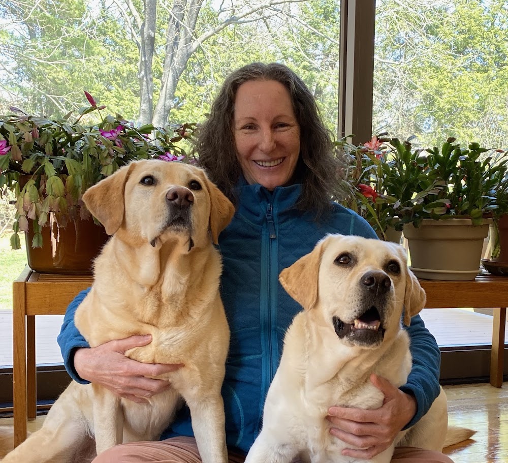 Lancaster Veterinary Services