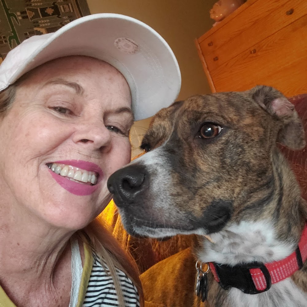 Belcaro Animal Hospital