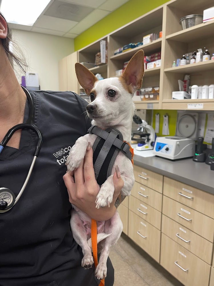 Vetco Total Care
