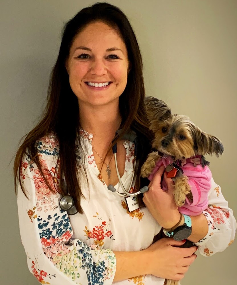 VIDA Veterinary Care - Denver